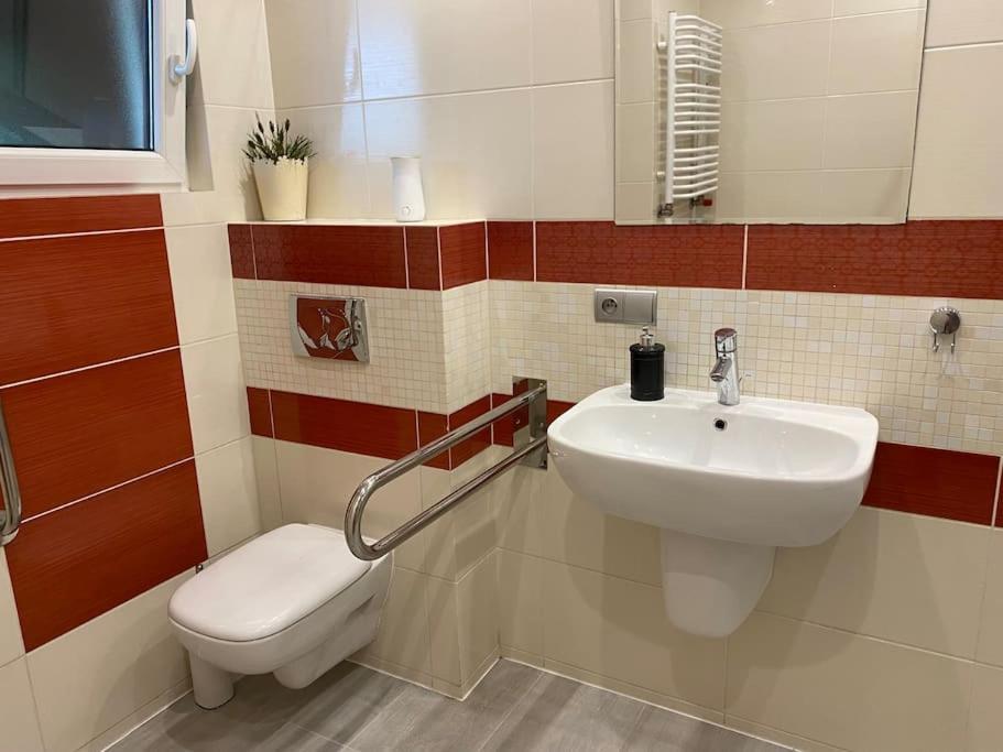 4 Bedroom Family House With Access To A Hot Tub Goczałkowice-Zdrój Buitenkant foto