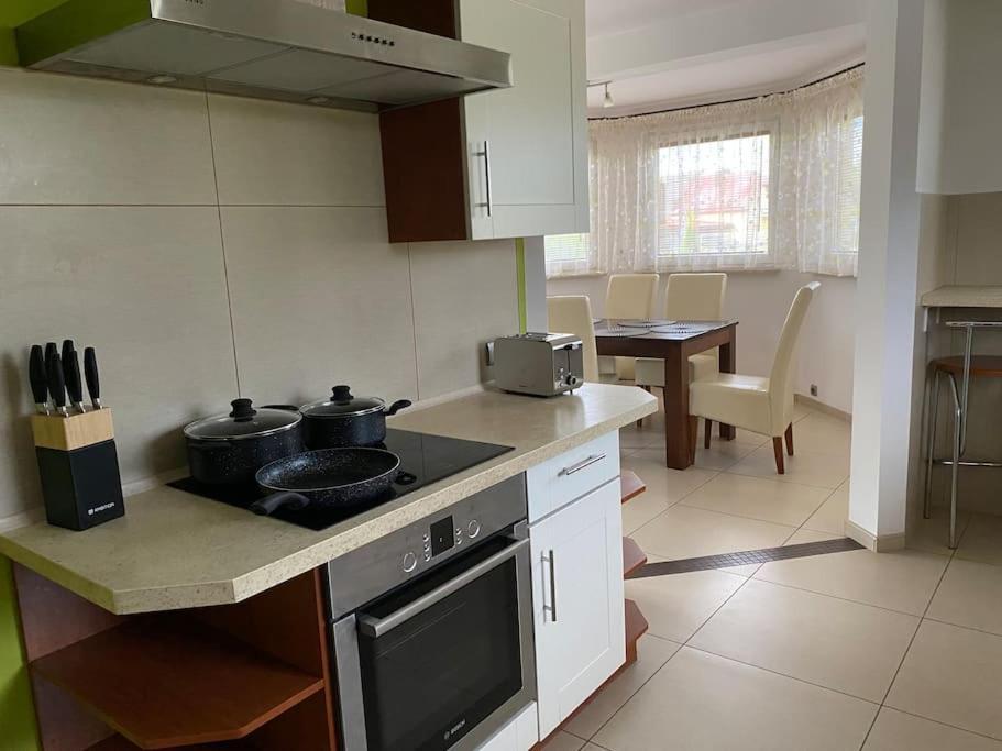 4 Bedroom Family House With Access To A Hot Tub Goczałkowice-Zdrój Buitenkant foto